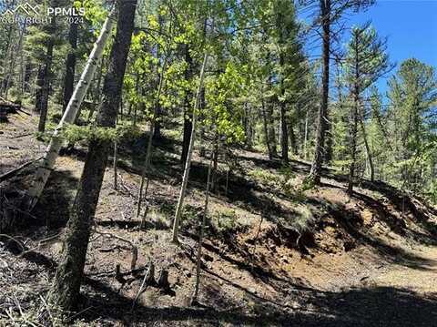 unknown, Cripple Creek, CO 80813