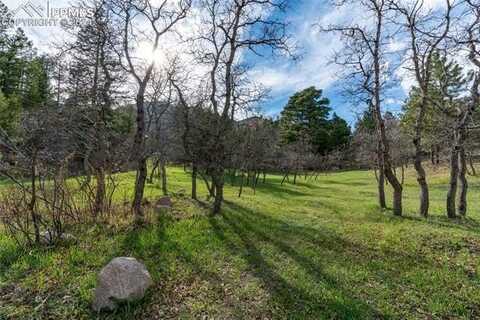 4790 Broadlake View, Colorado Springs, CO 80906