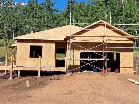 77 Granite Lane, Cripple Creek, CO 80813