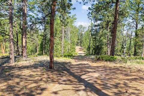 464 Hidden Point, Florissant, CO 80816