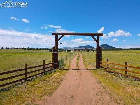 1925 Doe Valley Road, Guffey, CO 80820