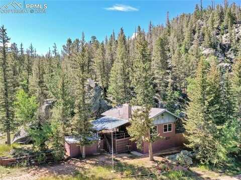 534 Brook Drive, Lake George, CO 80827