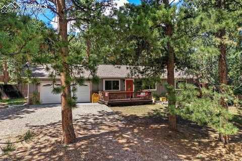 416 N Coraline Street, Woodland Park, CO 80863