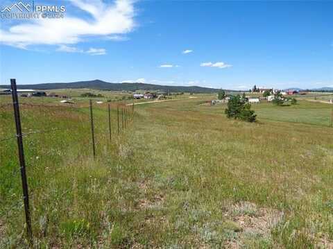 33 Grand View Circle, Divide, CO 80814