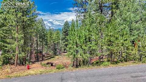 1320 Forest Edge Road, Woodland Park, CO 80863