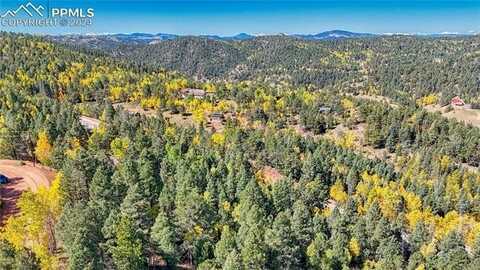 959 Calcite Drive, Divide, CO 80814