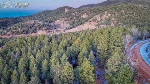 959 Calcite Drive, Divide, CO 80814