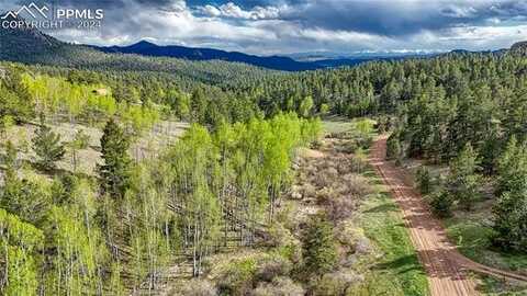 649 Pinon Lane, Florissant, CO 80816