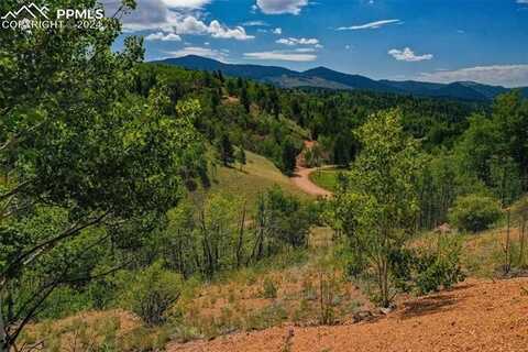 1300 Golden Cycle Circle, Cripple Creek, CO 80813