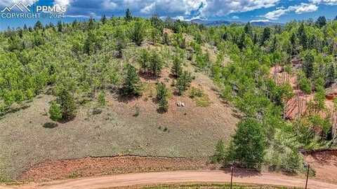 348 Granite Lane, Cripple Creek, CO 80813