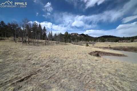 60 Cherokee Path, Lake George, CO 80827