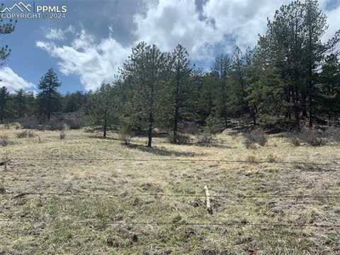 34754 Highway 24, Lake George, CO 80827