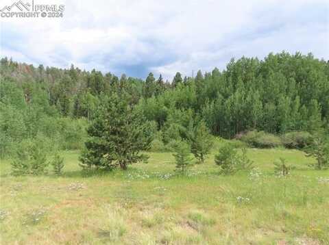 488 Hidden Valley Drive, Florissant, CO 80816