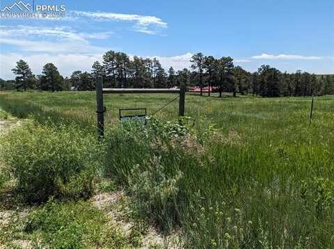 16660 Wild Horseshoe View, Peyton, CO 80831