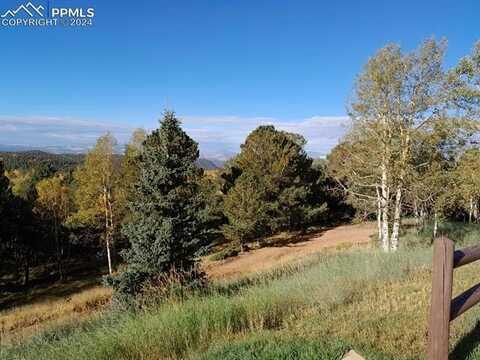 578 Crystal Drive, Cripple Creek, CO 80813