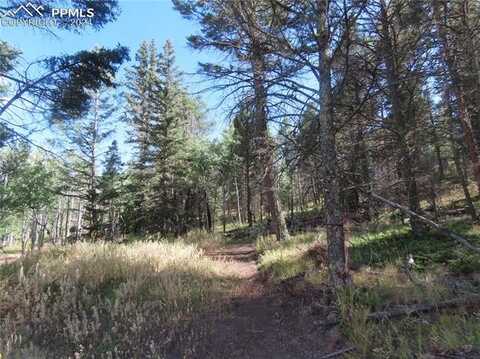 471 Horseshoe Trail, Florissant, CO 80816