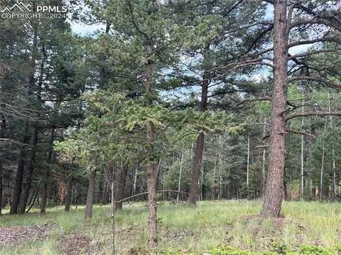 270 Southpark Road, Florissant, CO 80816