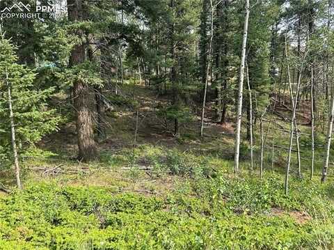 127 Rampart Circle, Florissant, CO 80816