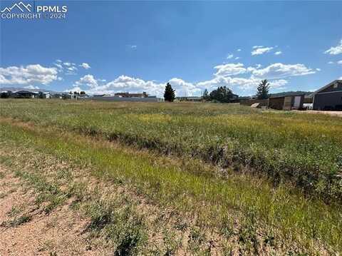 Golden Grain Lane, Divide, CO 80814