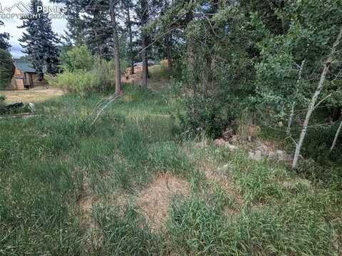 Burdette Street, Woodland Park, CO 80863