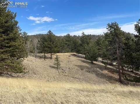 86 & 122 Junction Circle, Florissant, CO 80816