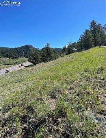 125 & 137 Hillside Drive, Florissant, CO 80816