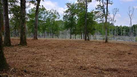 NHN Meadow Hill Drive, Poplarville, MS 39470