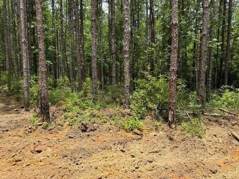 00 TRACT # 10 Burgetown Rd, Carriere, MS 39426