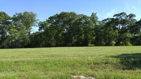 Lot42 Fallen Leaf Dr, Poplarville, MS 39470