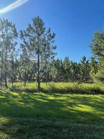 00 Lot #4 BBL Estates, Poplarville, MS 39470