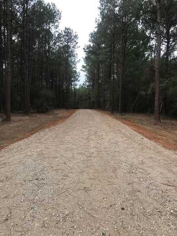 00 TRACT # 8 Burgetown Rd, Carriere, MS 39426