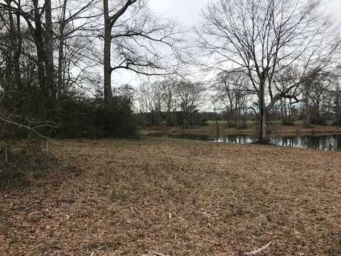 0 Whispering Lane Lot 55, Poplarville, MS 39470