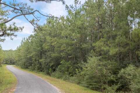 13.47+/-AC Edna Beach Road, Poplarville, MS 39470