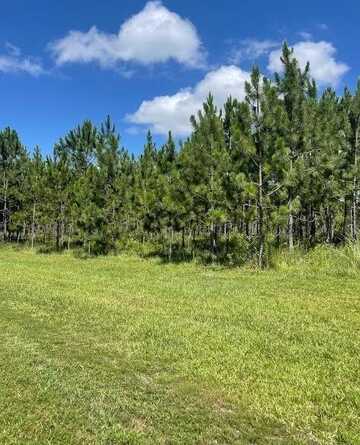 00 Lot #6 BBL Estates, Poplarville, MS 39470