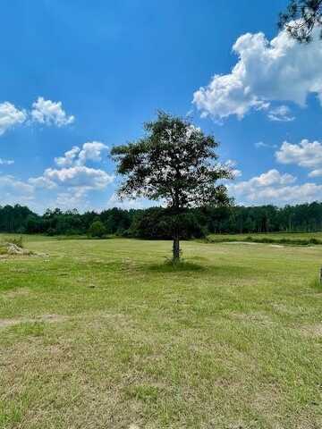 00 Lot #2 Ervin Ladner Rd, Poplarville, MS 39470