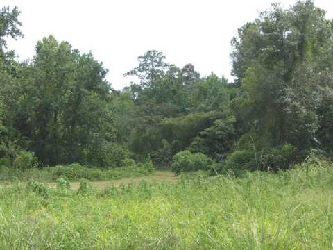 0000 Carroll Street, Picayune, MS 39466
