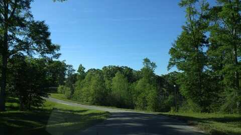 Lot25 Winding Vale Drive, Poplarville, MS 39470