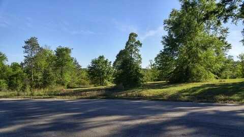 Lot30 Winding Vale Drive, Poplarville, MS 39470