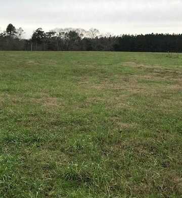 0 Whispering Lane   Lot 45, Poplarville, MS 39470