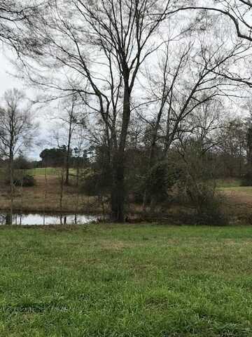 0 Whispering Lane Lot 50, Poplarville, MS 39470