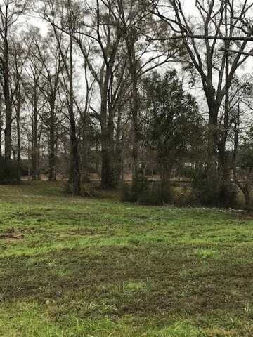 0 Whispering Lane Lot 51, Poplarville, MS 39470