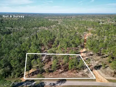 Lot 4 Cowart Holliday Rd, Poplarville, MS 39470