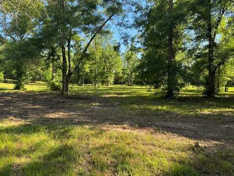 T4 Blackberry Hollow, Carriere, MS 39426