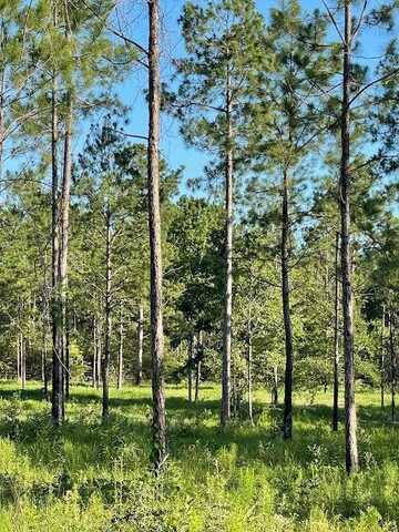 00 Lot H Ervin Ladner Rd, Poplarville, MS 39470