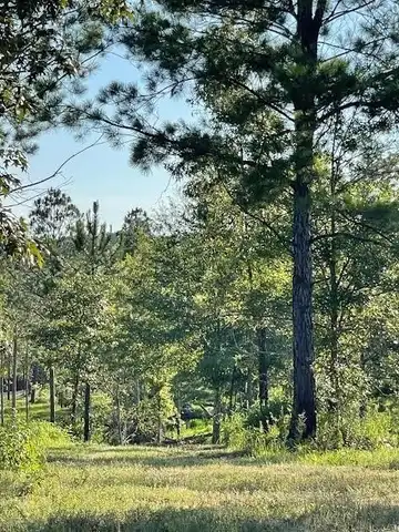 00 Lot E Ervin Ladner Rd, Poplarville, MS 39470