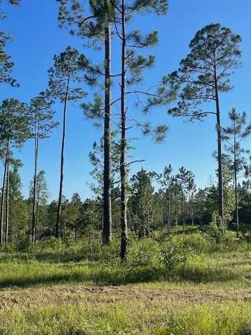 00 Lot C Ervin Ladner Rd, Poplarville, MS 39470