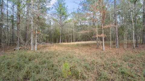 NHN Adolph Parker Rd., Poplarville, MS 39470