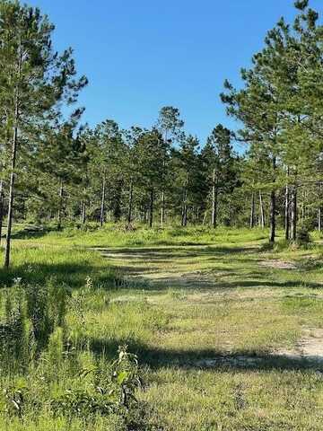 00 Lot G Ervin Ladner Rd, Poplarville, MS 39470