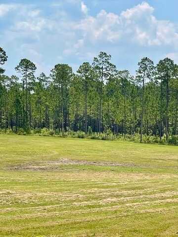 00 Lot # 1 Ervin Ladner Rd, Poplarville, MS 39470