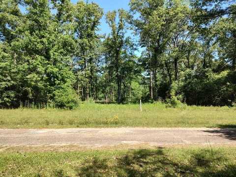 NHN BONNIE LN, Lumberton, MS 39455